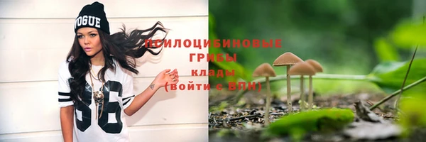 крисы Краснослободск