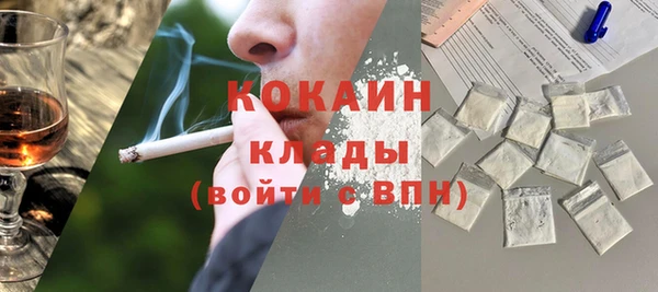 крисы Краснослободск